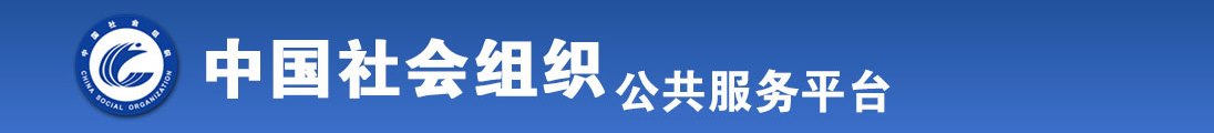 啊啊啊操操操全国社会组织信息查询